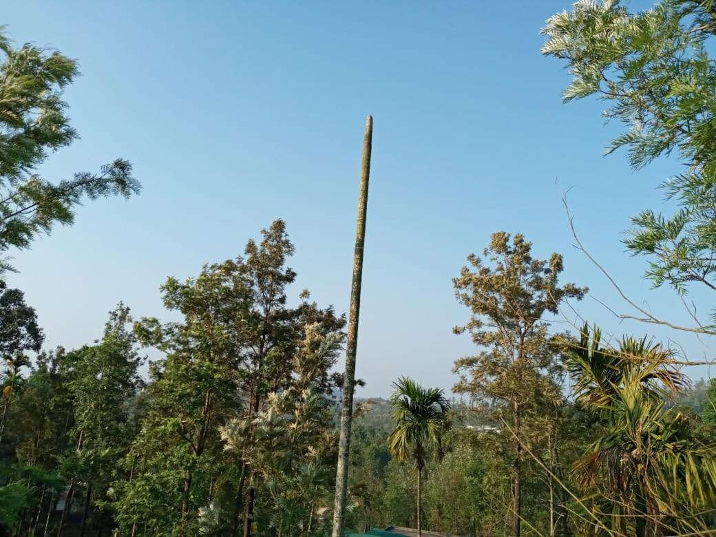 Wayanad Snow Vibes Villa Vythiri Ngoại thất bức ảnh