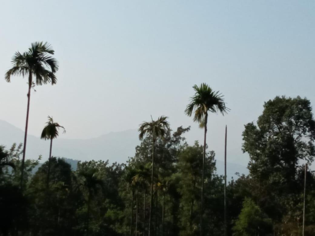 Wayanad Snow Vibes Villa Vythiri Ngoại thất bức ảnh