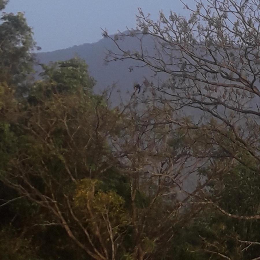Wayanad Snow Vibes Villa Vythiri Ngoại thất bức ảnh
